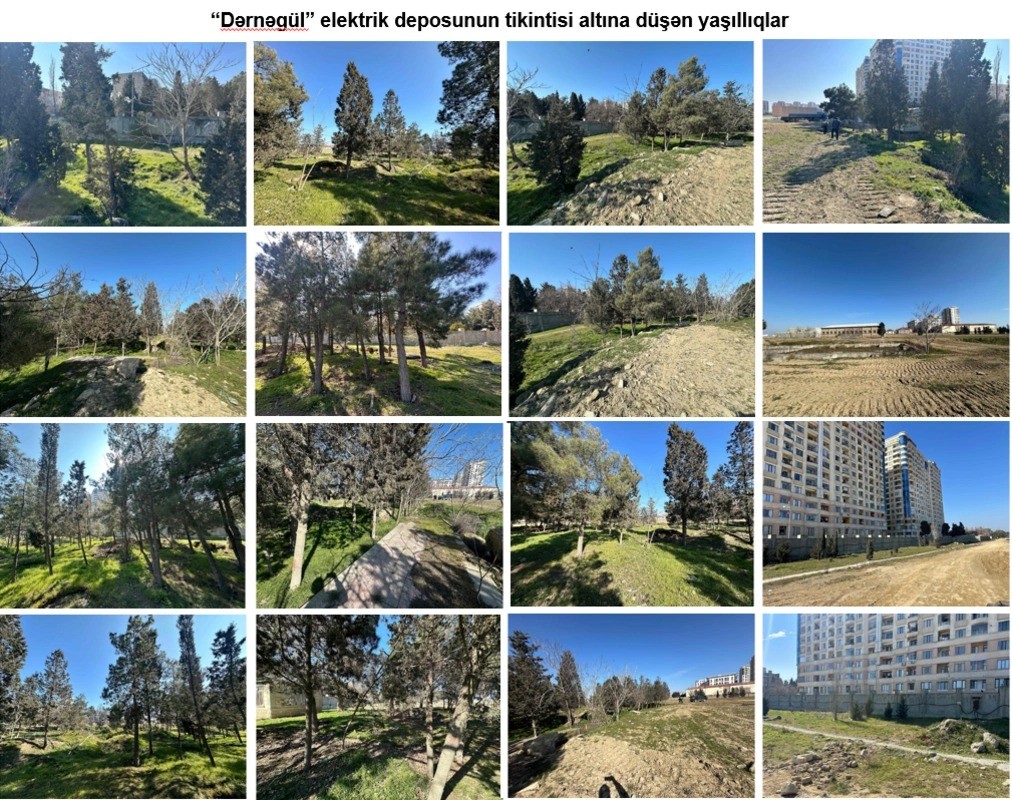 Depo tikiləcək və ətrafında 1000-ə yaxın ağac əkiləcək - FOTOLAR